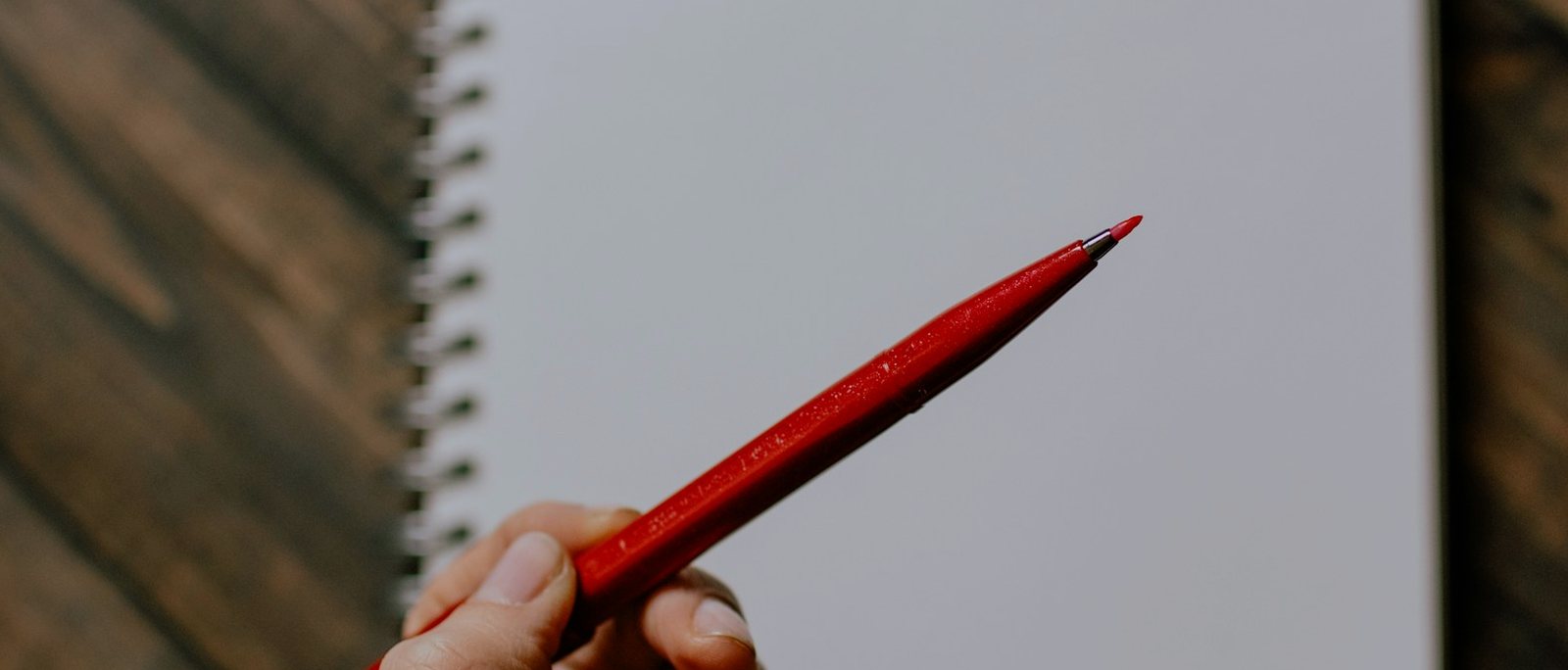 Roter Korrekturstift auf einem Manuskript